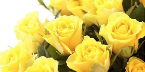 今日の言葉：アレクサンダー・ウールコット