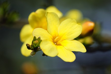 今日の言葉：ビクトル・E・フランクル