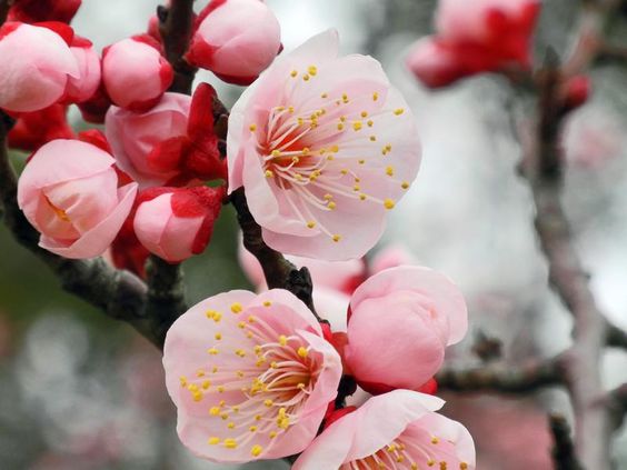 今日の言葉：H・スタンリー・ジャッド