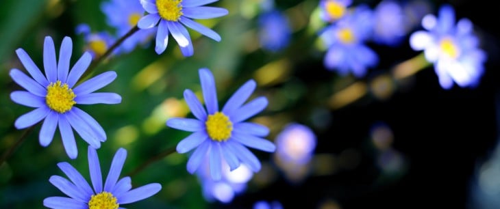 今日の言葉：アラン・ケイ