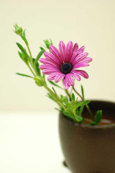 今日の言葉：ジョー・ジラード