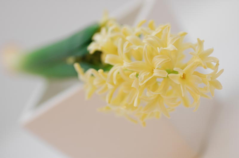 今日の言葉：カール・グスタフ・ユング