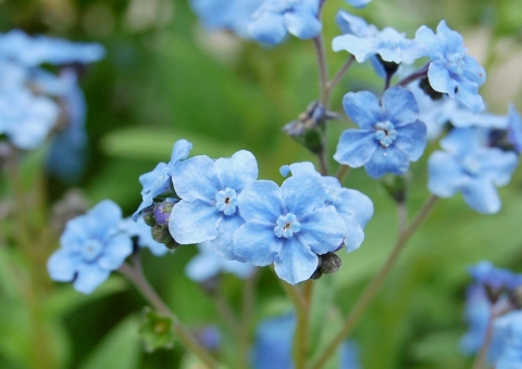 今日の言葉：ジョエル・オースティン