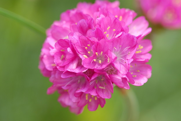 今日の言葉：河合準雄