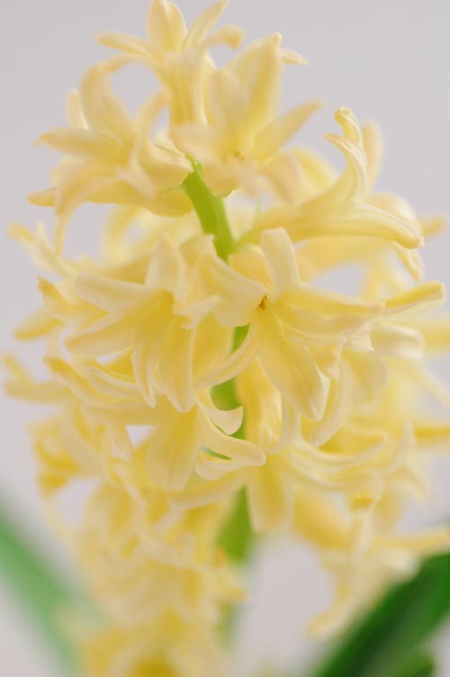 今日の言葉：ビクトル・E・フランクル