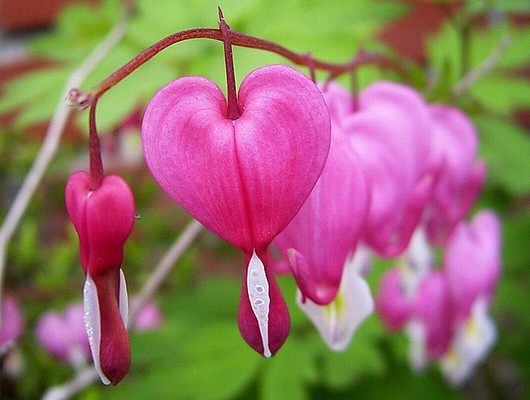 今日の言葉：エピクテトス