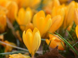 今日の言葉：ニーチェ