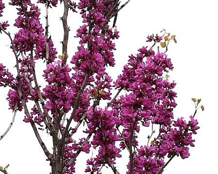 今日の言葉：ユング