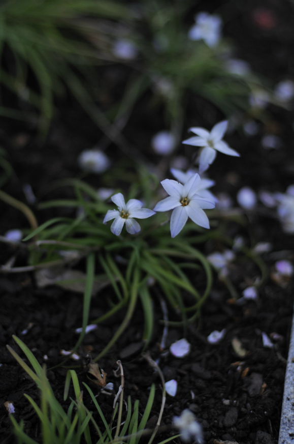 今日の言葉：アレックス・ロビラ