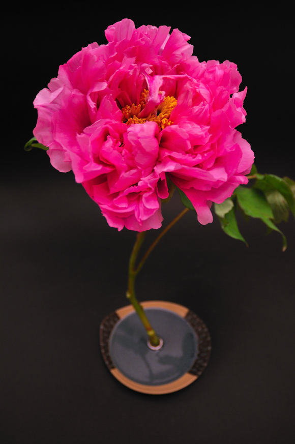 今日の言葉：諸富祥彦