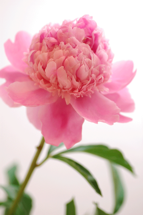 今日の言葉：マタイ福音書