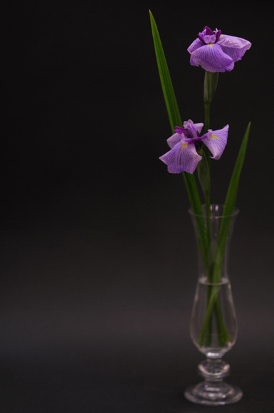 今日の言葉：ヴィンス・ロンバルティ