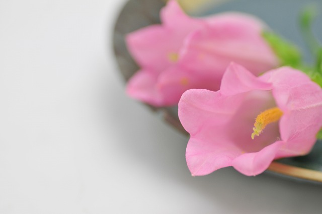 今日の言葉：アレックス・ロビラ