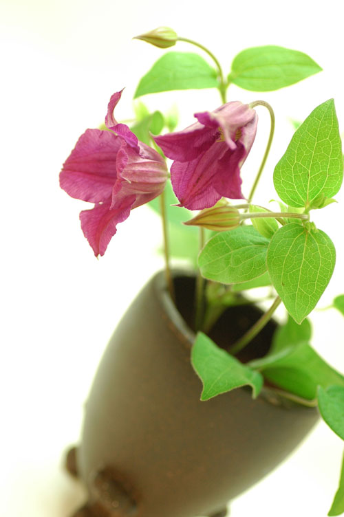 今日の言葉：レイ・クロック