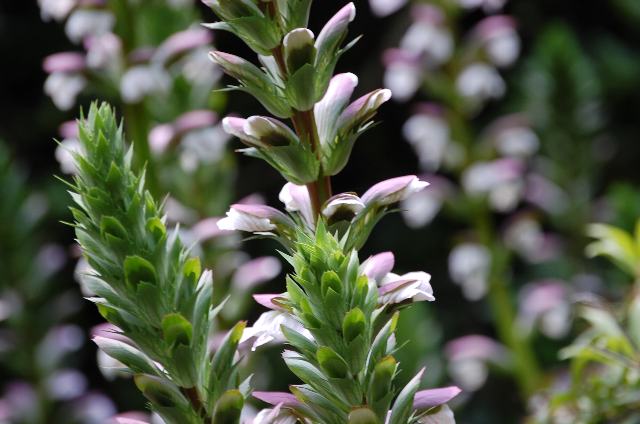 今日の言葉：スタンダール