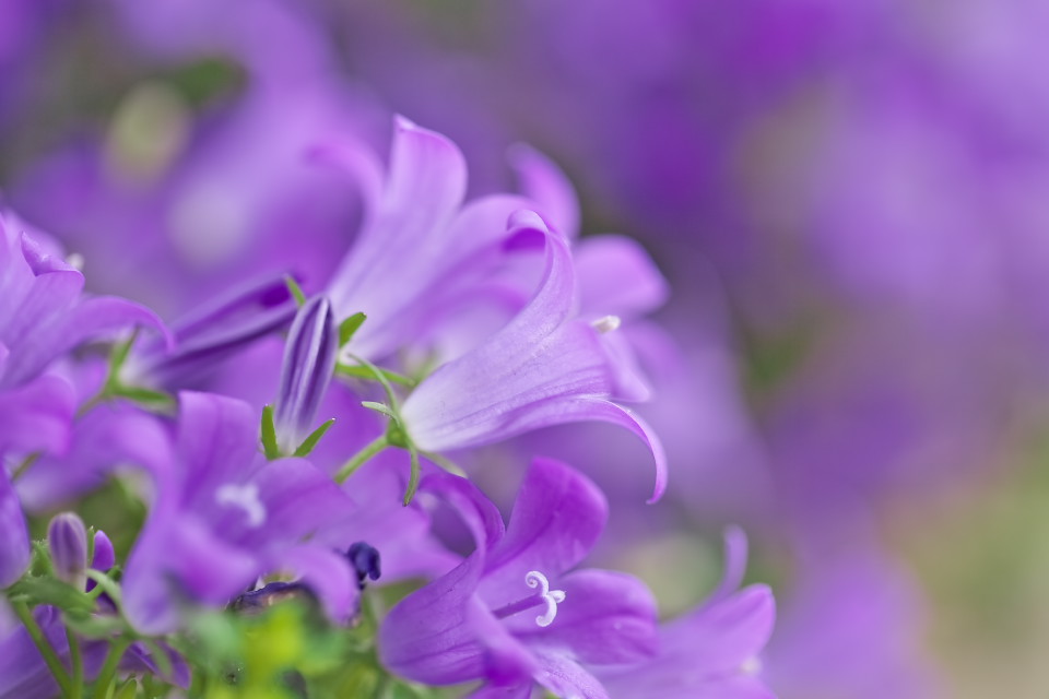 今日の言葉：イチロー