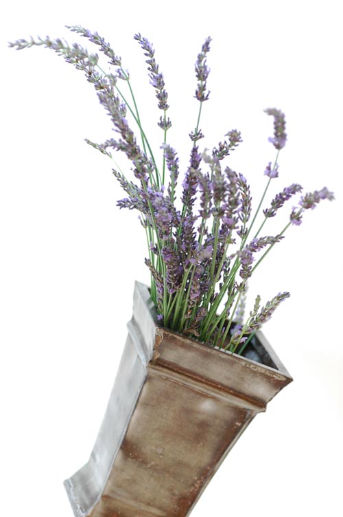 今日の言葉：渡辺和子