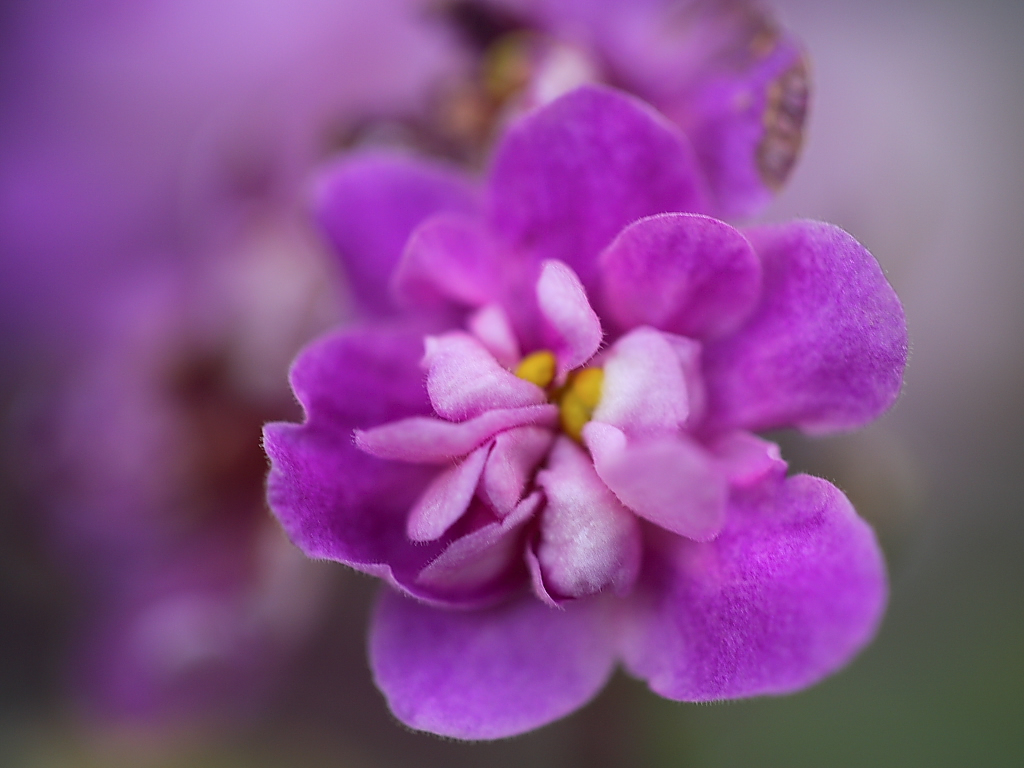 今日の言葉：美輪明宏