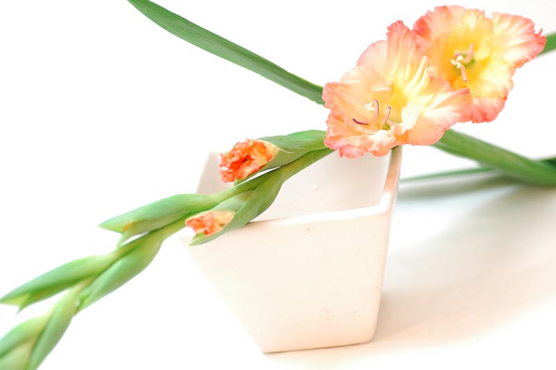 今日の言葉：ビクトル・E・フランクル