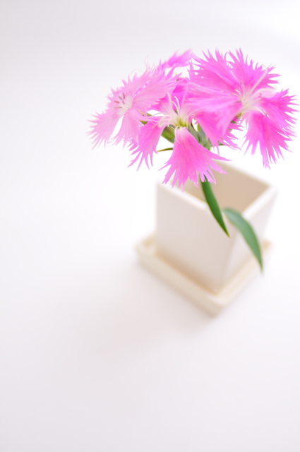 今日の言葉：ニーチェ