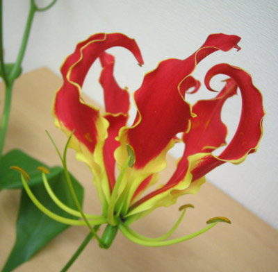 今日の言葉：スティーブ・ジョブズ