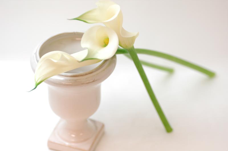 今日の言葉：ジャン・ド・ラ・フォンテーヌ