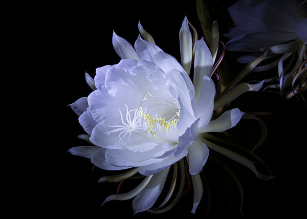 今日の言葉：ゲーテ