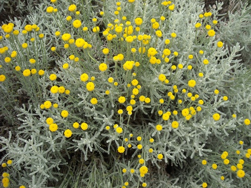 今日の言葉：ガンジー