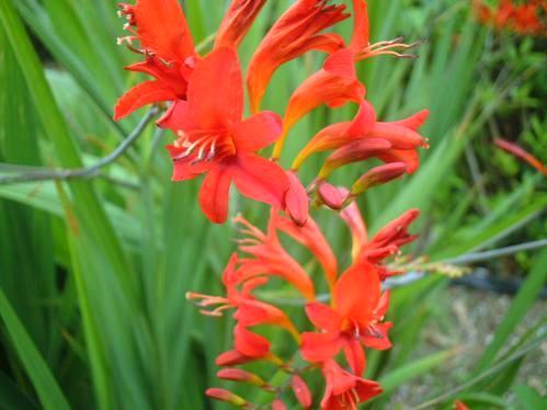 今日の言葉：渋沢栄一