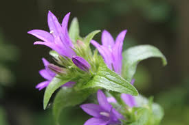 今日の言葉：アインシュタイン