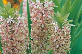 今日の言葉：坂本竜馬