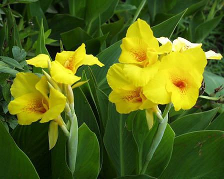 今日の言葉：トーマスエジソン