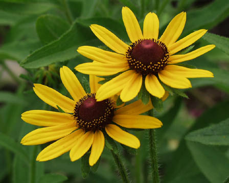 今日の言葉：唯川恵