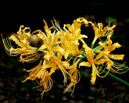 今日の言葉：イギリスのことわざ