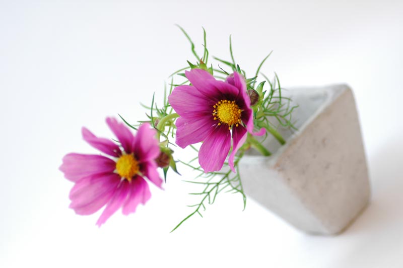 今日の言葉：岡本太郎