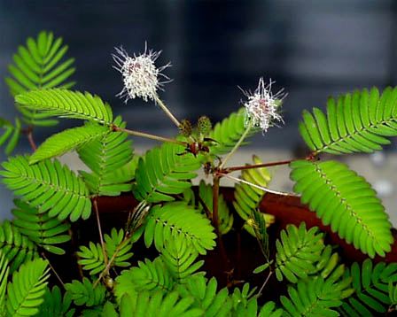 今日の言葉：唯川恵
