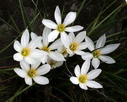 今日の言葉：スペインのことわざ