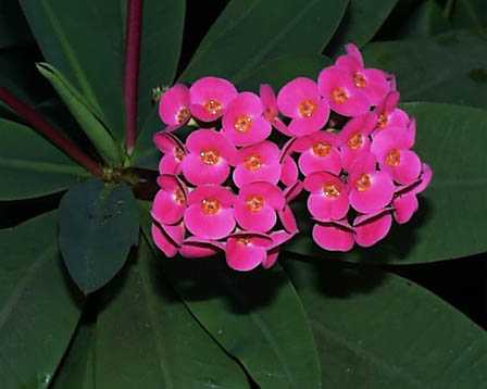 今日の言葉：Jack Welch（ジャック・ウェルチ）