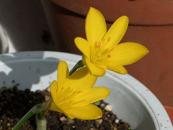 今日の言葉：斎藤茂太