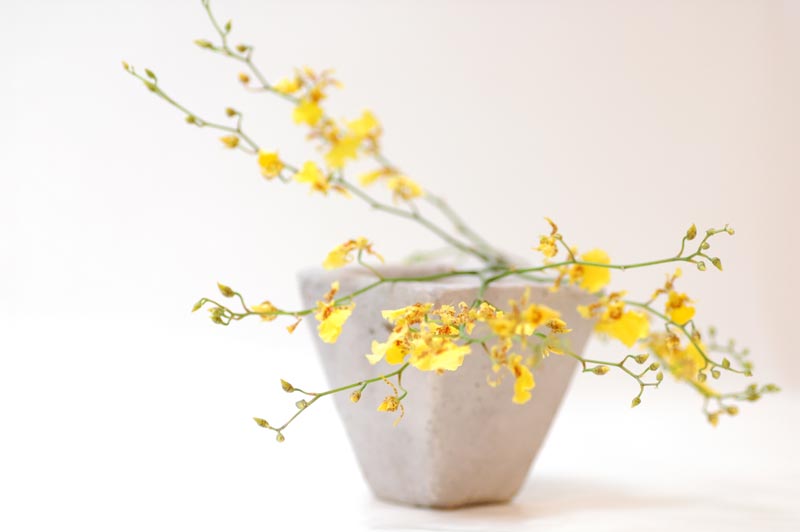 今日の言葉：George Eliot（ジョージ・エリオット)