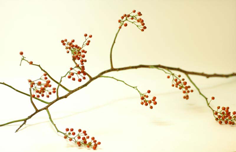 今日の言葉：Ralph Waldo Emerson（エマーソン）