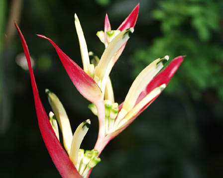 今日の言葉：Abraham Lincoln（エイブラハム・リンカーン）　