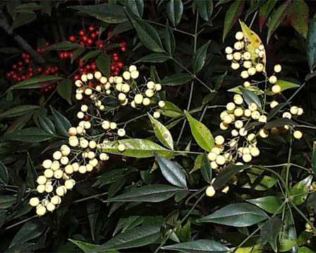 今日の言葉：Ernest Hemingway （ヘミングウェイ）