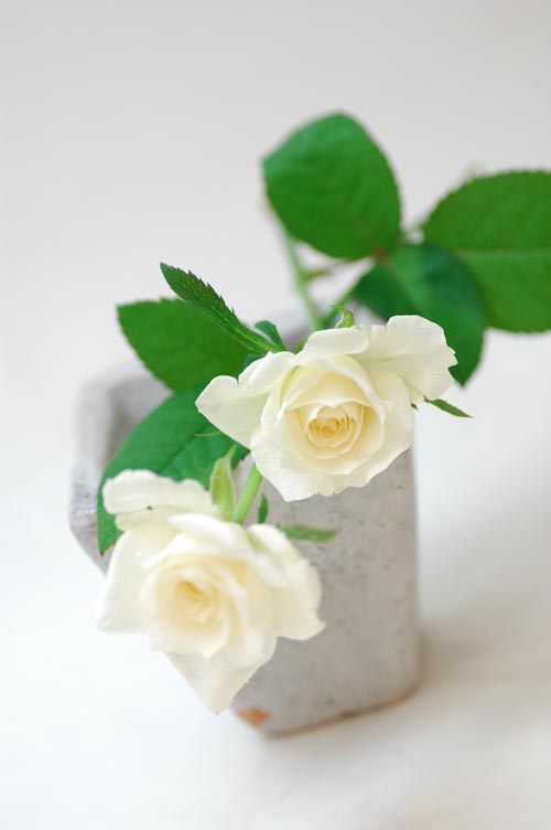 今日の言葉：Fyodor Dostoyevsky（ドストエフスキー）