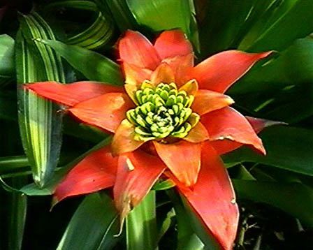 今日の言葉：相田みつを