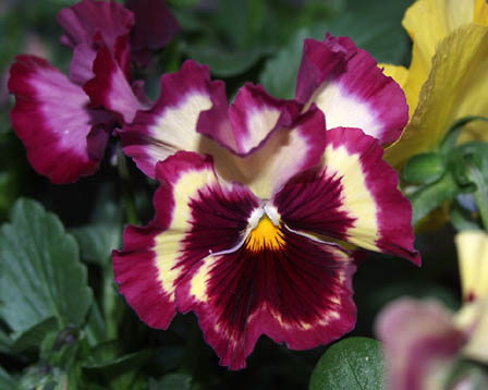 今日の言葉：島津斉彬