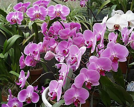 今日の言葉：渡辺和子