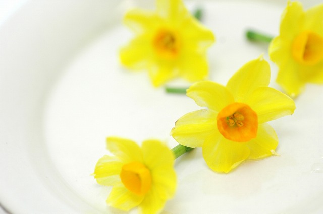 今日の言葉：ダニエル・カーネマン