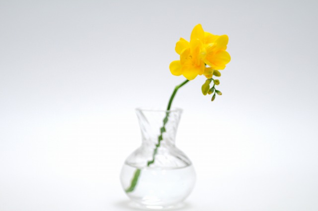 今日の言葉：Michael Jordan（マイケル・ジョーダン）