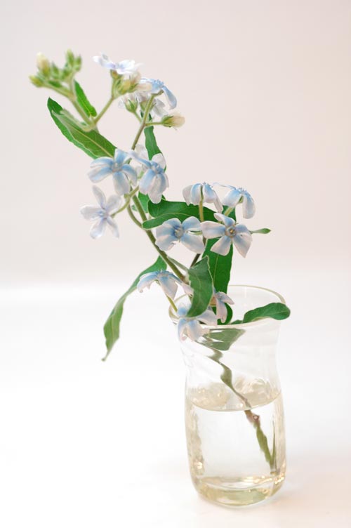 今日の言葉：パール・ベイリー